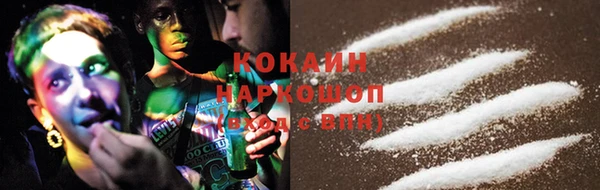 кокс Ессентукская