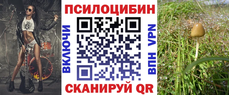 Галлюциногенные грибы Cubensis  Купить где  Любим 