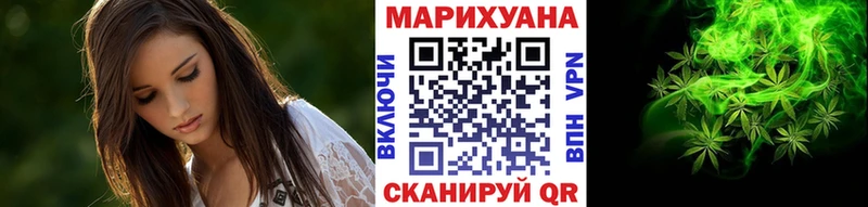 Купить где  Любим  Бошки Шишки SATIVA & INDICA 
